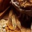 image of whole grain