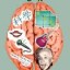image of left and right brain hemispheres