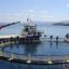 image of sea farm