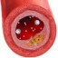 image of cholesterol