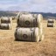 image of farm subsidy