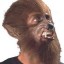 image of prosthetic make up