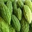 image of bitter melon