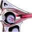 image of eyesight