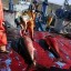tuna fish catch by commercial fishing tuna fish catch by commercial fishing