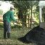 image of carbonized rice hull