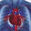 image of heart