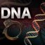 image of dna