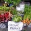 image of organic raised food