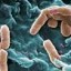 image of pseudomonas bacteria