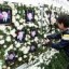 image of south korean sailors who lost their lives