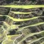 ifugao-rice-terraces