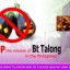 image of anti bt eggplant campaign in the philippines