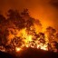 image of forests fires