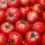 image of tomato