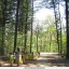 korea's reforestation