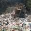 plastic bags in landfill