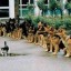 courage image