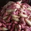 image of camote