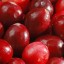 image of cranberry