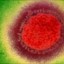 h2n2 strain image