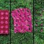 image of biodegradable plastic