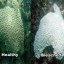 image of coral bleaching