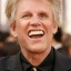 image of gary busey