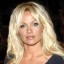 pamela anderson