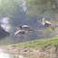 image of bird sanctuary