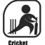 image of cricket