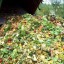 image of food wasted