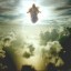 image of rapture