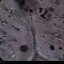 airborne microorganism image