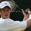 andy murray