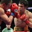 chavez-zbik fight
