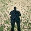 climate change jeopardizes food supply