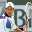 image of djokovic