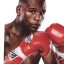 floyd mayweather jr.