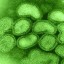 image of avian flu virus