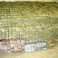 image of hoarding ill gotten wealth