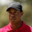 image of tiger woods
