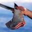 method of shark finning