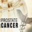 image of prostate cancer