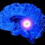 source of melatonin from the human brain