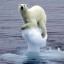 effect of climate change