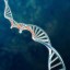 gene image