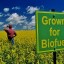 image of biofuel