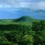 image of rainforest