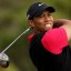 tiger woods
